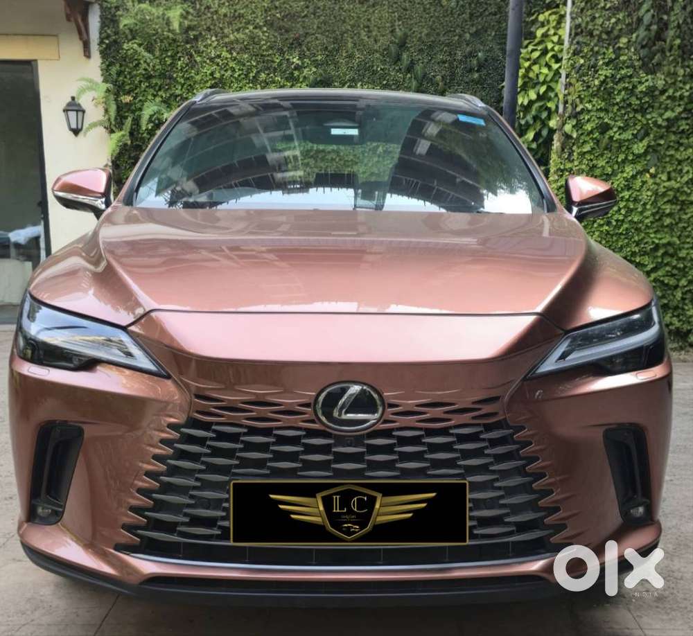 Lexus Rx 350h Panasonic, 2023, Petrol