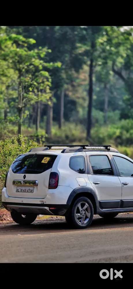 Renault Duster Adventure 2014 Car