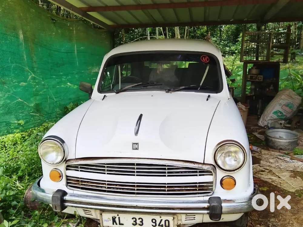 2006 Model Ambassador