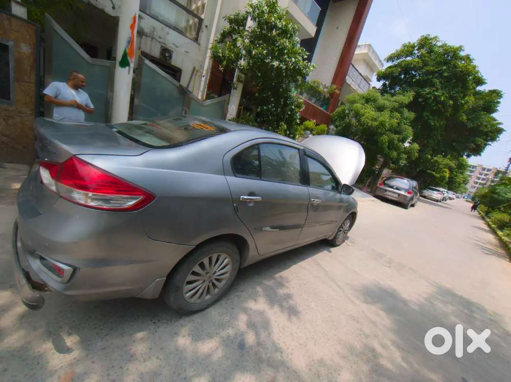 Maruti Suzuki Ciaz Hybrid 2020