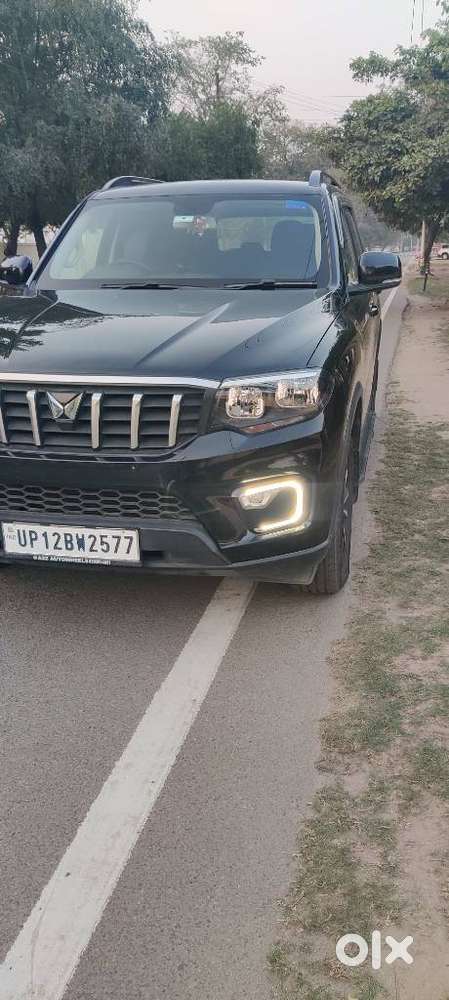 Mahindra Scorpio N Z4 Petrol Mt 7 Str, 2024, Petrol