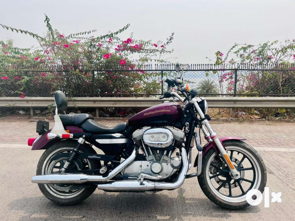 Harley davidson superlow deals olx