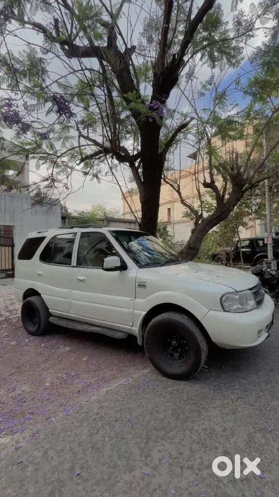 New Seat Cover New Tyre Rim All Original Car Pearl White