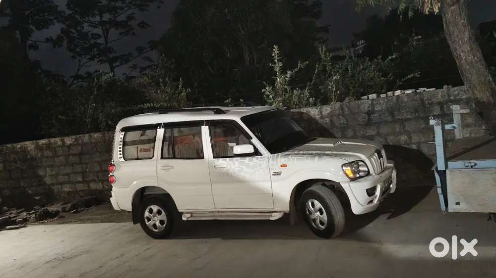 Morbi Uma Taauship Jova Madse