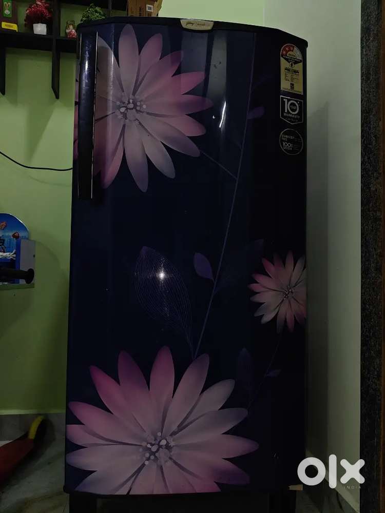 Godrej Edge Pro 190L 5 Star Refrigerator Working Condition Energy