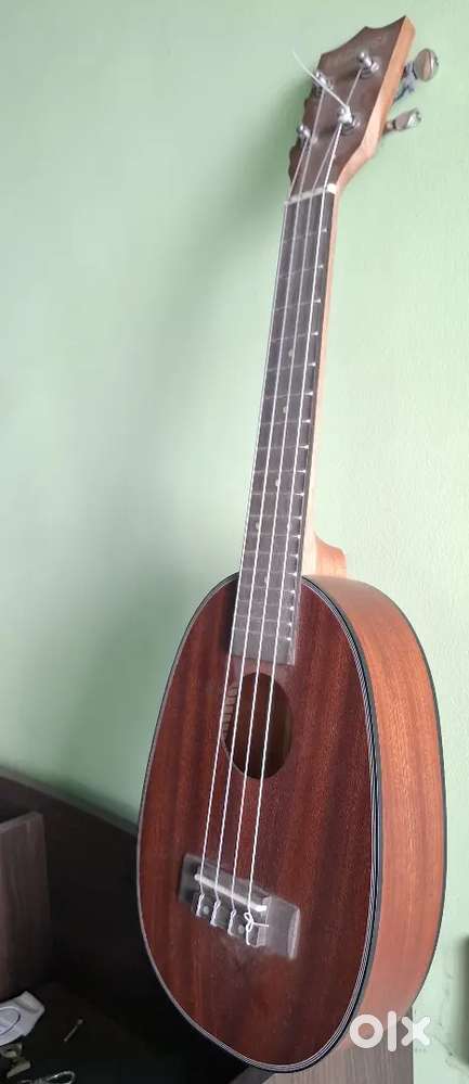 Ukulele 8 months old. instrument only.