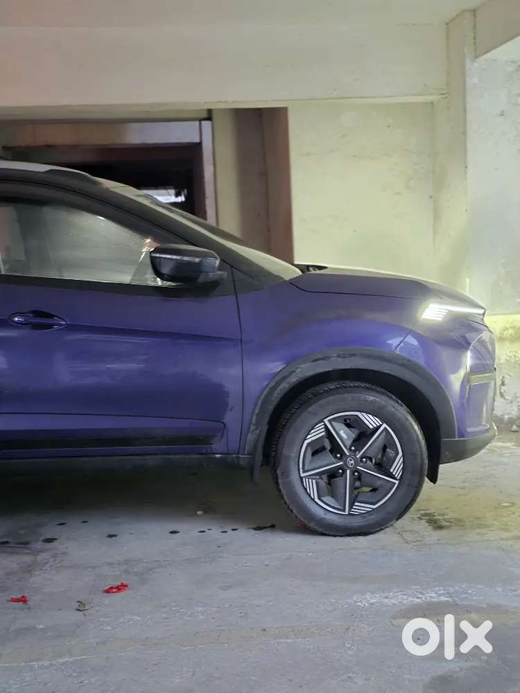 Tata Nexon 2024 Petrol Well Maintained