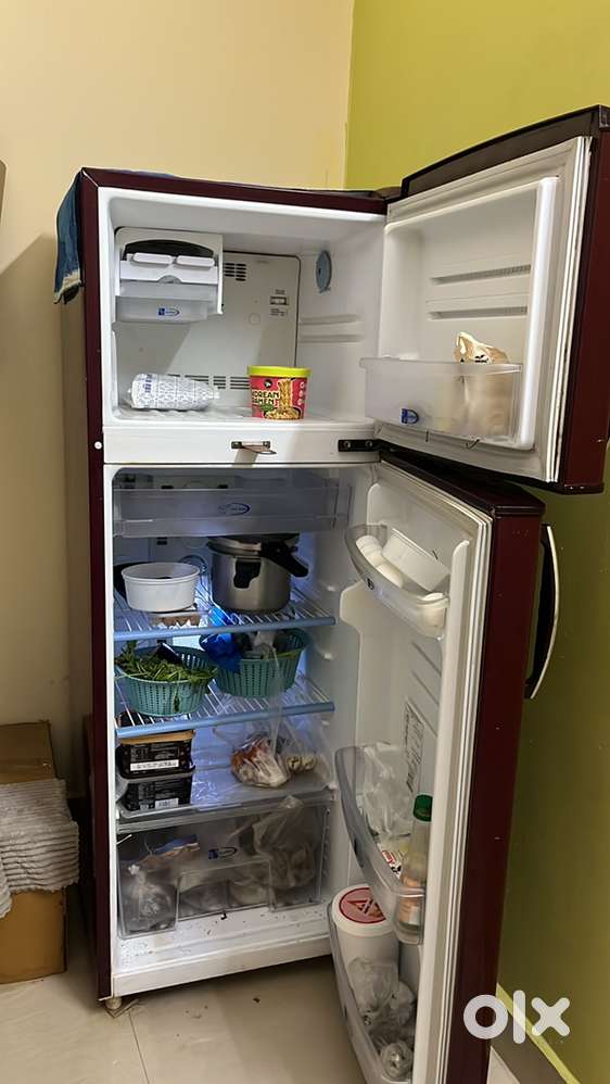 Fridge ( Refrigerator)