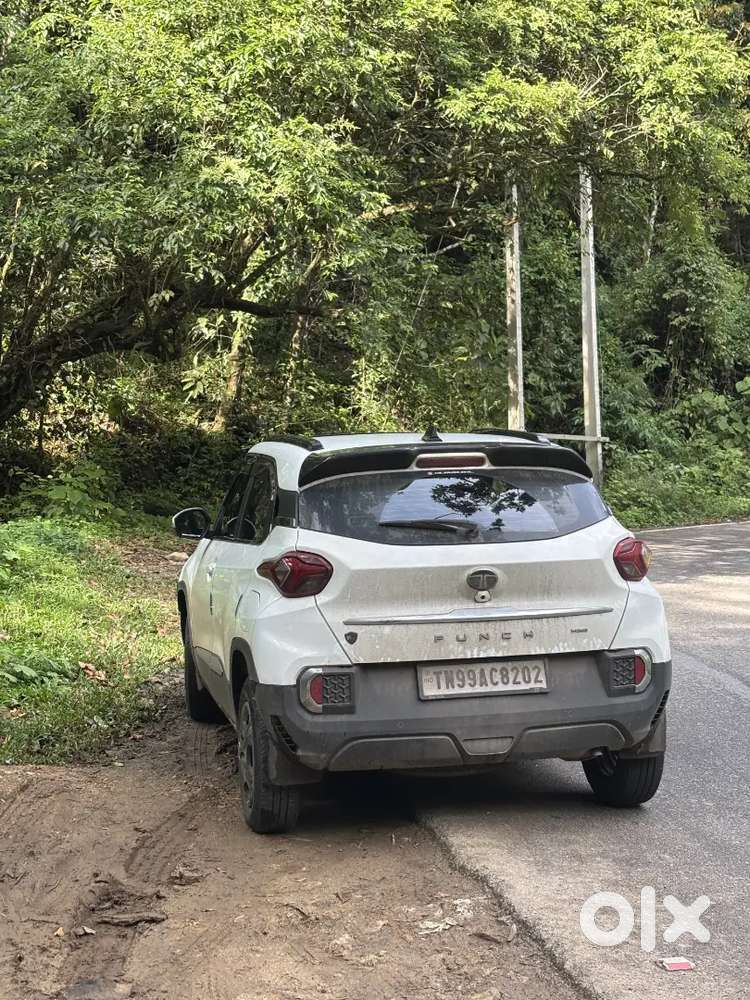 Tata Punch 2024 Petrol Cng 33000 Km Driven