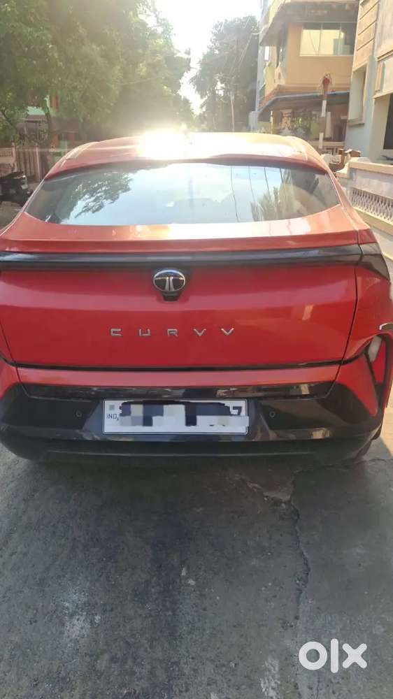 Tata Curvv 2024 Petrol Well Maintained