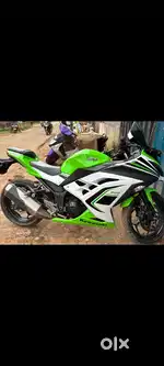 Ninja 300 dobal silender