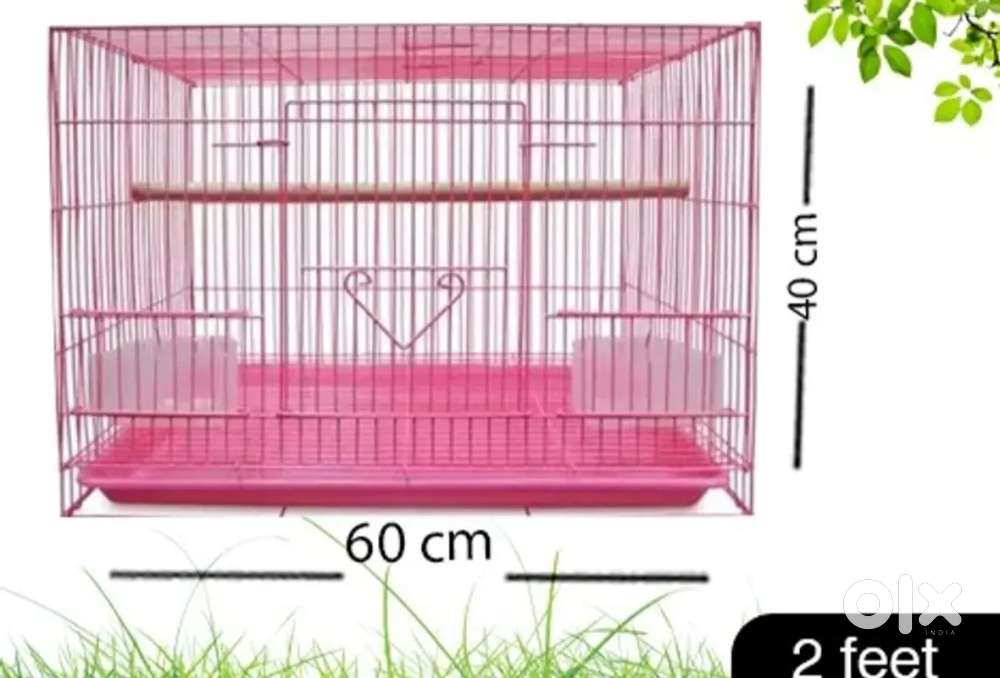 Birds, puppy cage 1month old
