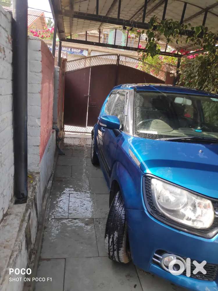 Maruti Suzuki Ignis 2019 Petrol 52 Km Driven