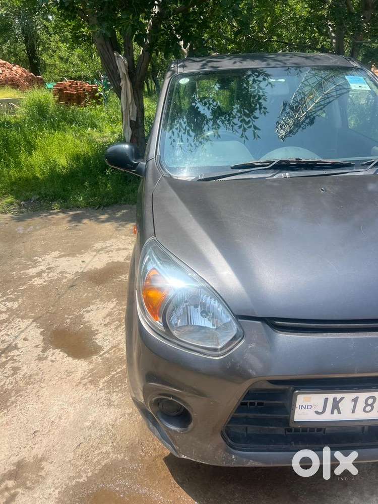 Alto 800 Lxi In A Mint Condition
