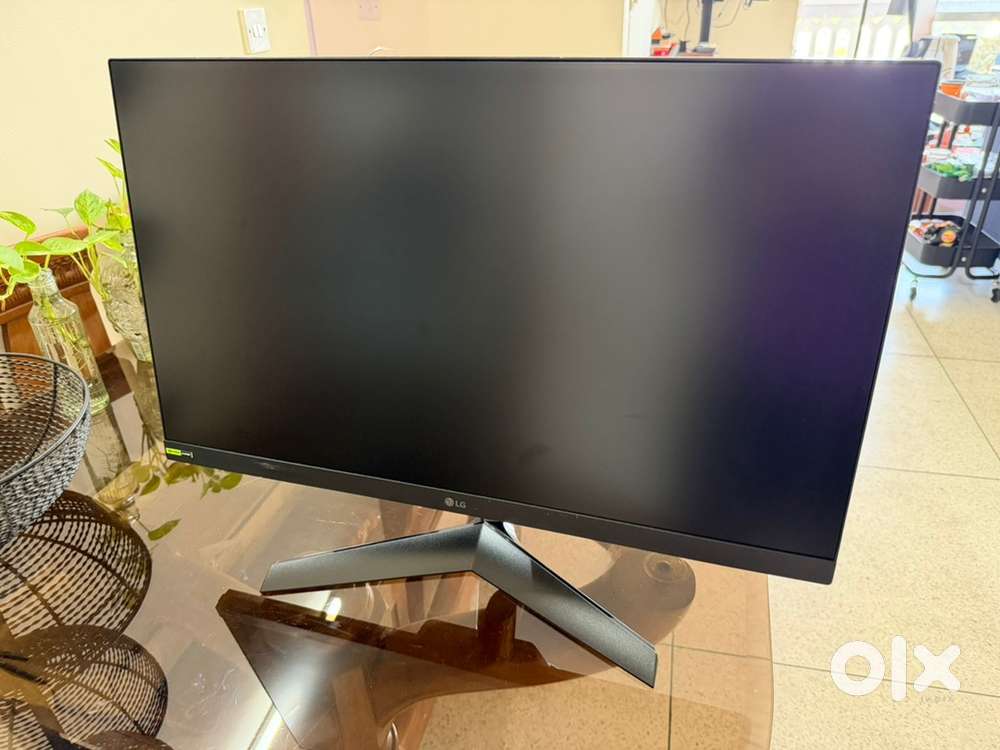 LG 24inch monitor