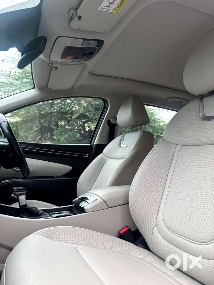 Hyundai Tucson Signature 2.0 At Petrol, 2024, Petrol