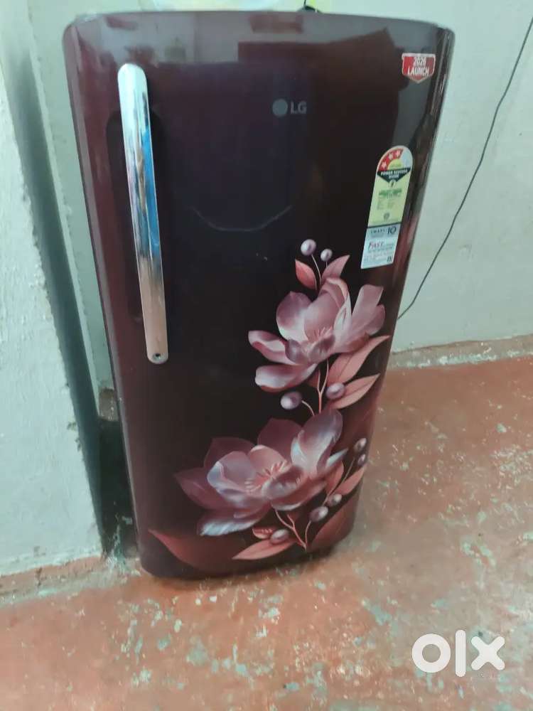 LG company fridge
