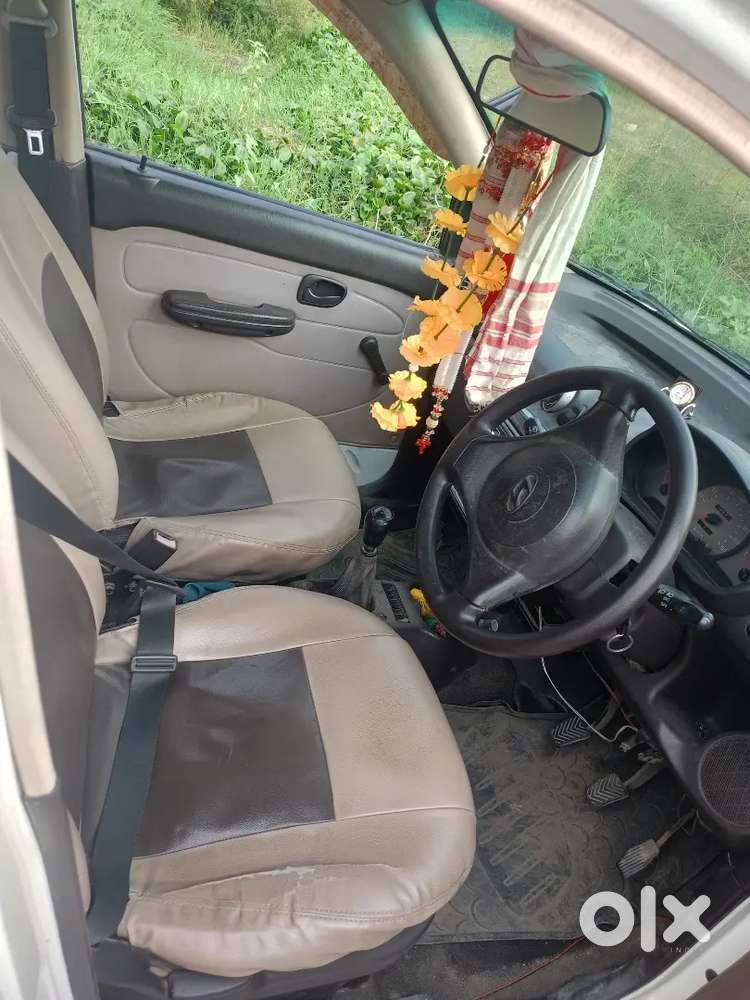 Hyundai Santro Xing 2010 Model