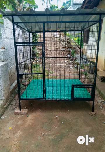 Stainless dog best sale cage olx