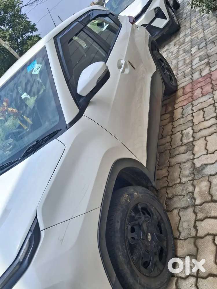 Tata Punch 2023 Cng & Hybrids 37000 Km Driven