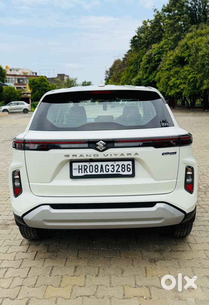 Maruti Suzuki Grand Vitara, 2024