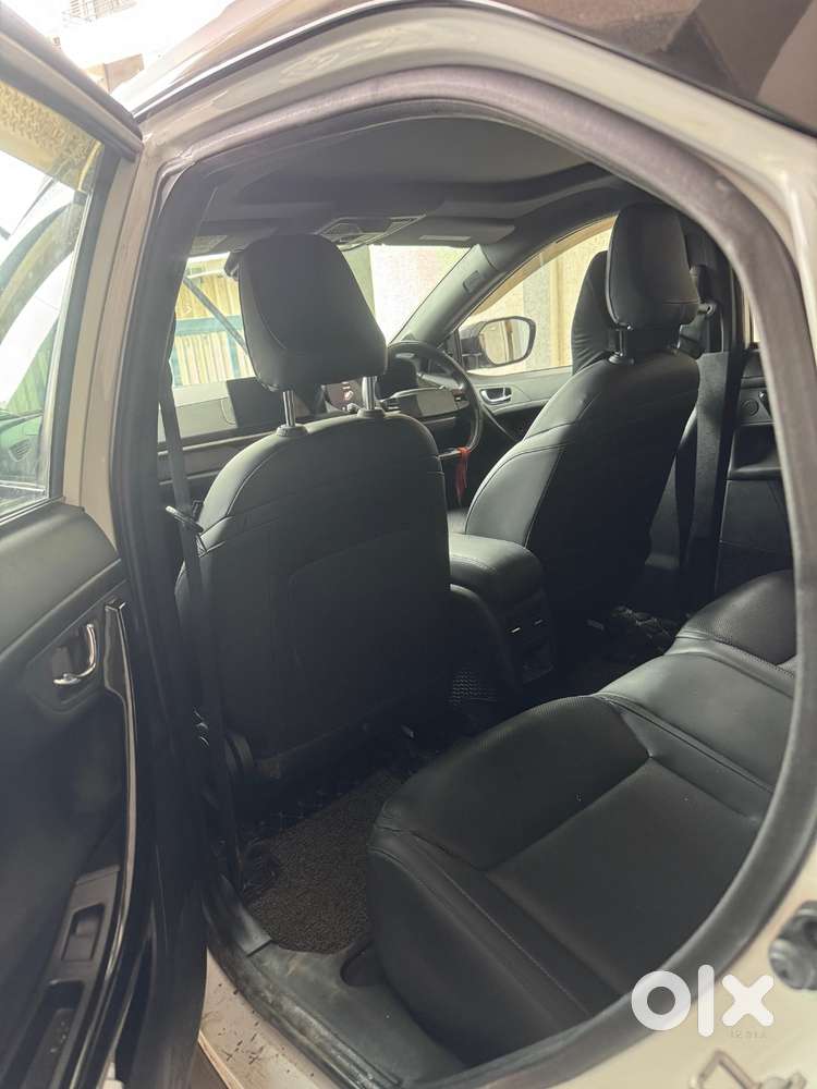 Tata Nexon Fearless Plus S 2024 Cng
