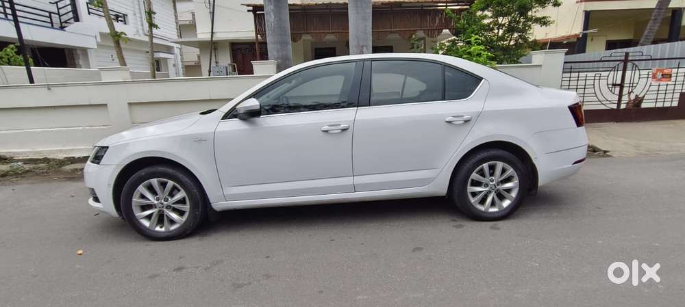 Skoda Octavia Ambition 2.0 Tdi Mt, 2019, Diesel