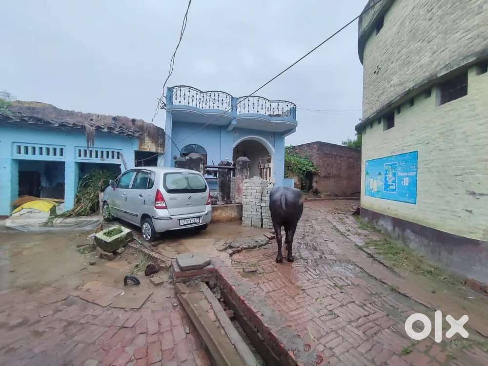 Best Brand Maruti Zen Estelo