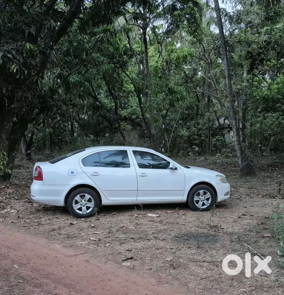 Skoda Laura 2010 Diesel Well Maintained