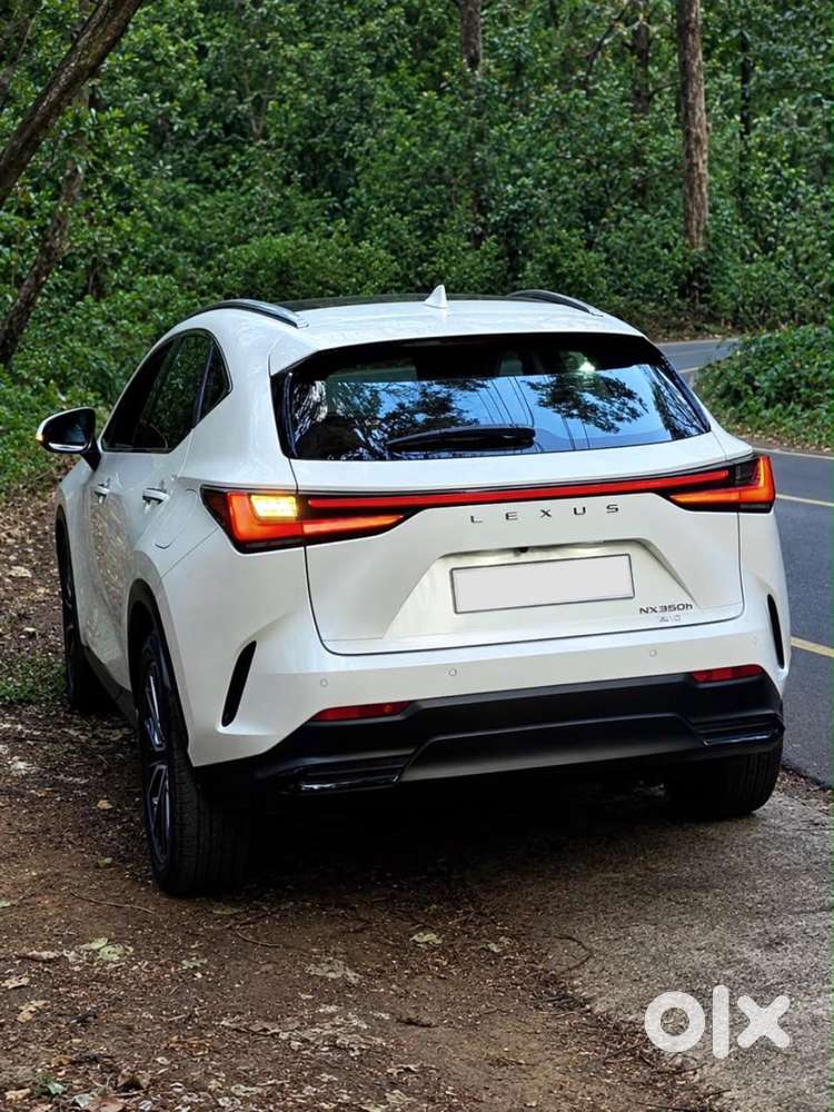 Lexus Nx 350h Luxury, 2025, Petrol