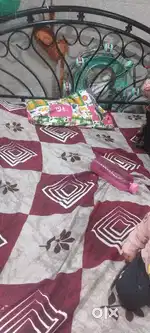 Beds 5x6 feet.