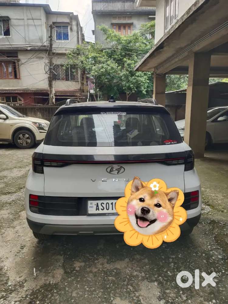 Hyundai Venue November 2024 Petrol Well Maintained