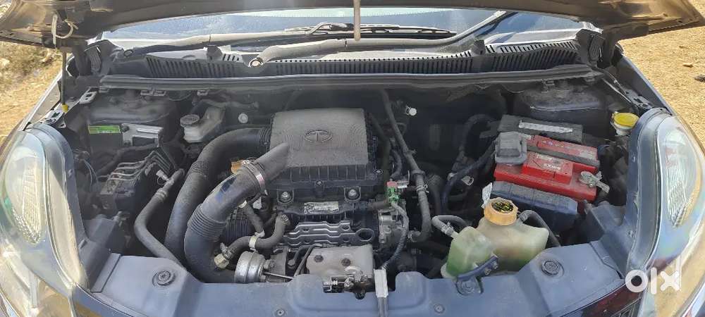 Tata Nexon 2018 Petrol Well Maintained