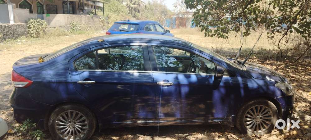 Maruti Ciaz Alpha
