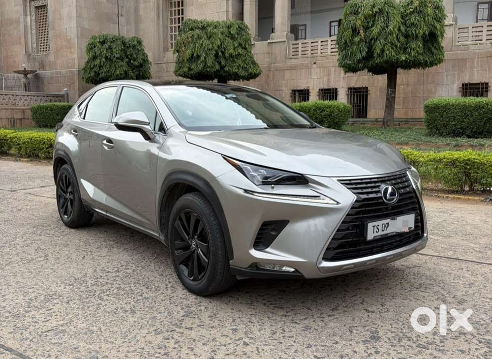 Lexus Nx Lexus-nx-300h-luxury, 2019, Petrol