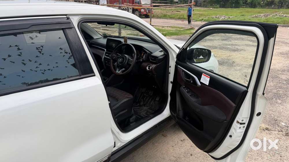 Maruti Suzuki Grand Vitara 1.5 Delta Cng, 2024, Cng & Hybrids