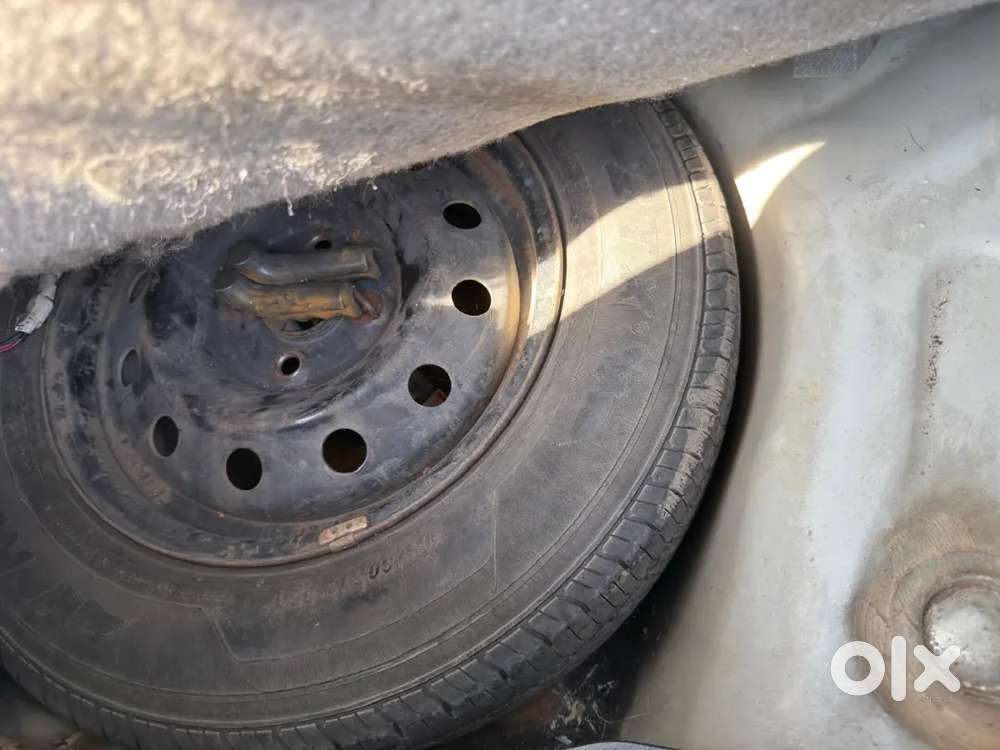 Full Maintained