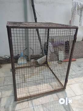 Dog pinjra sale best sale