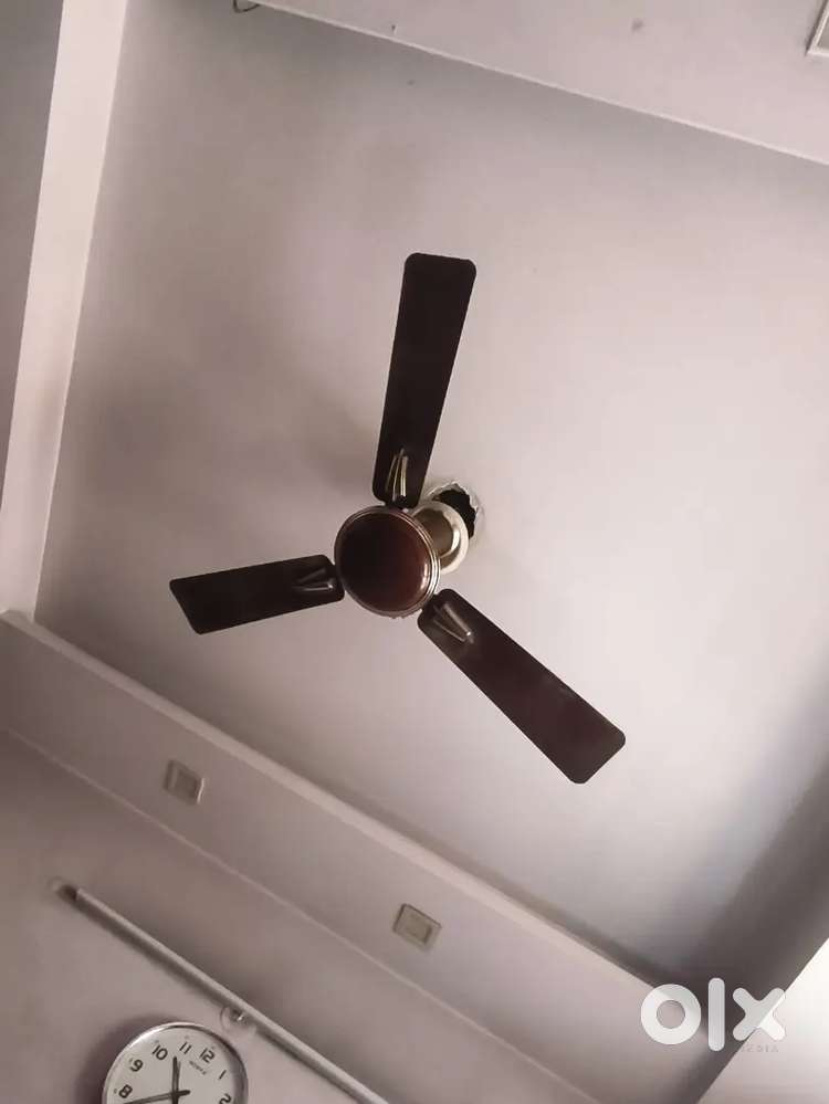 Selling Fan