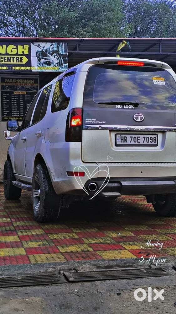 Selly My Safari Storme