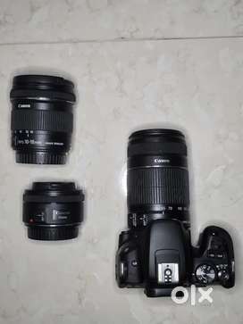 Canon 55 250mm - Buy & Sell Cameras & Lenses Online in India