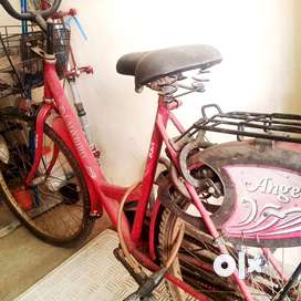 Ladies bicycle shop olx