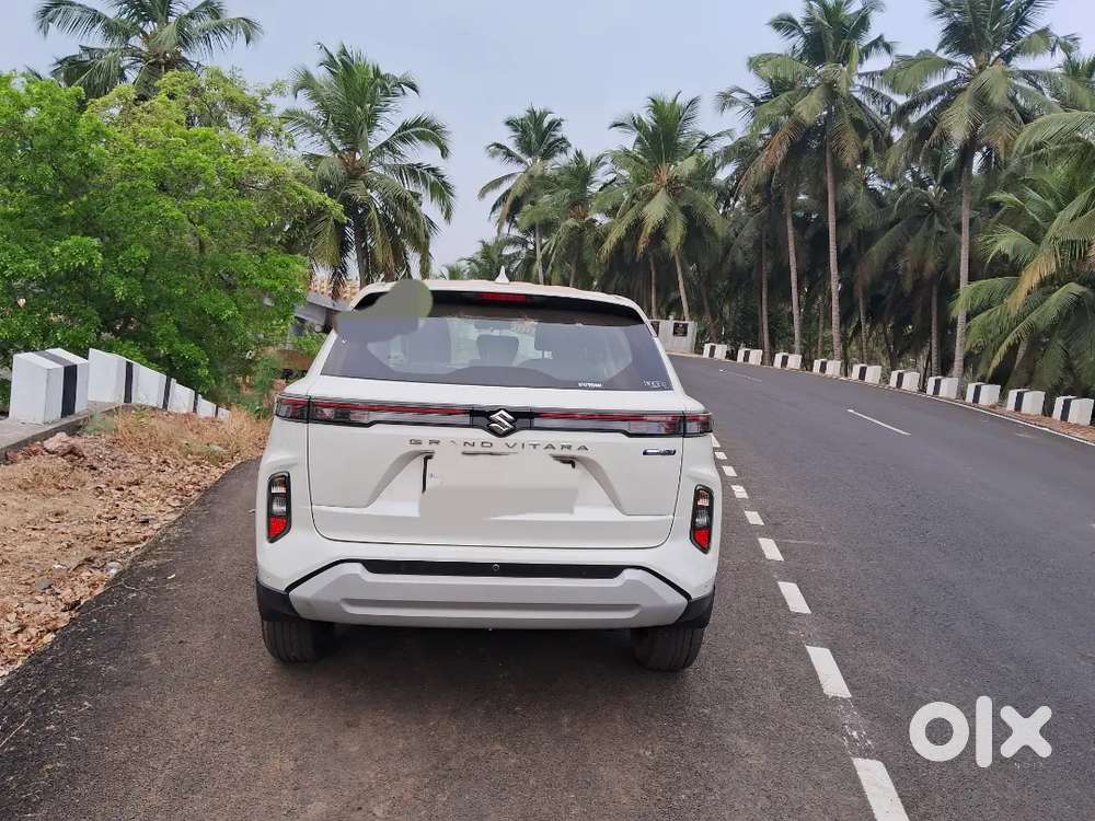 Maruti Suzuki Grand Vitara 2023 Petrol 11500 Km Driven