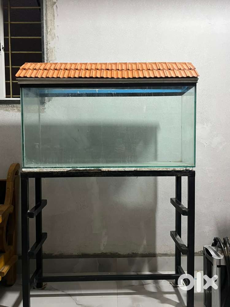 Fish tank with stand