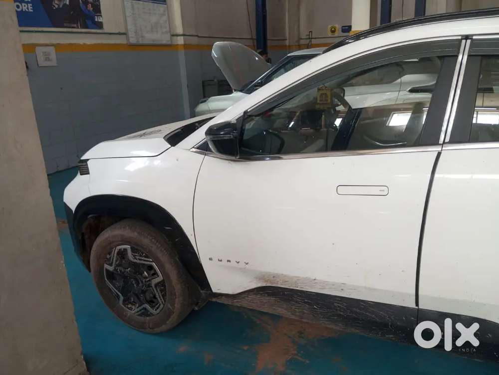 Tata Curvv 2024 Drives Ahead