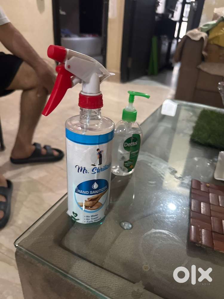 Domestic helper