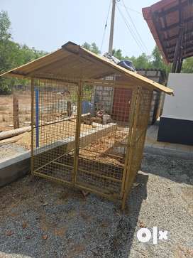 Dog cage 2025 in olx