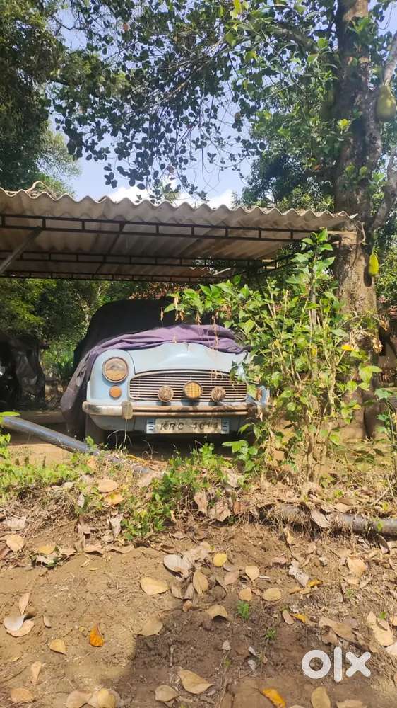 Ambassador Ambassador 1986