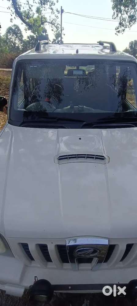 Only Personal Used