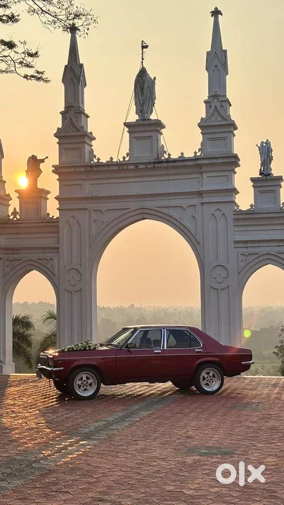 Contessa For Wedding